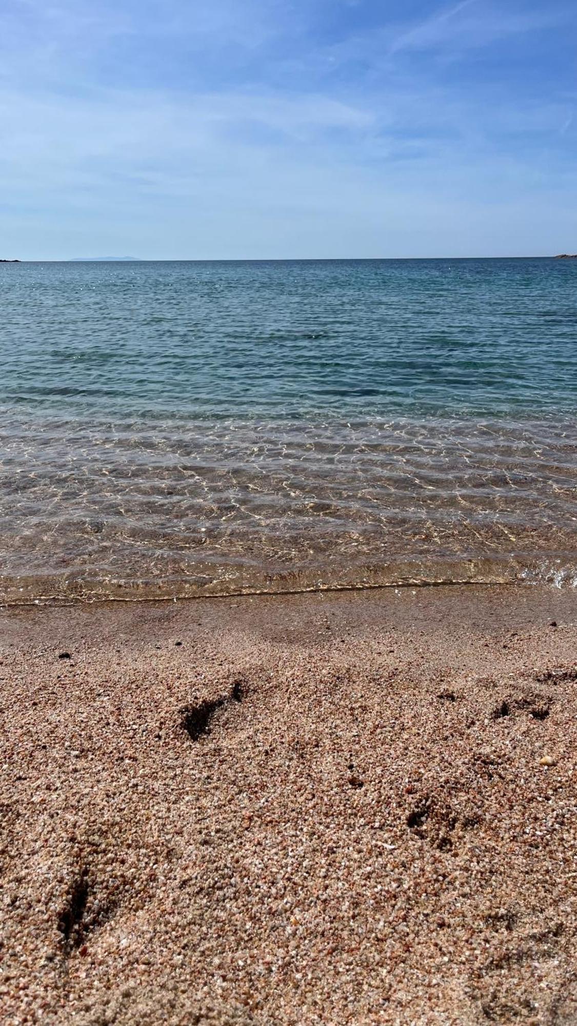 Isola Rossa Appartamenti Paduledda Eksteriør billede